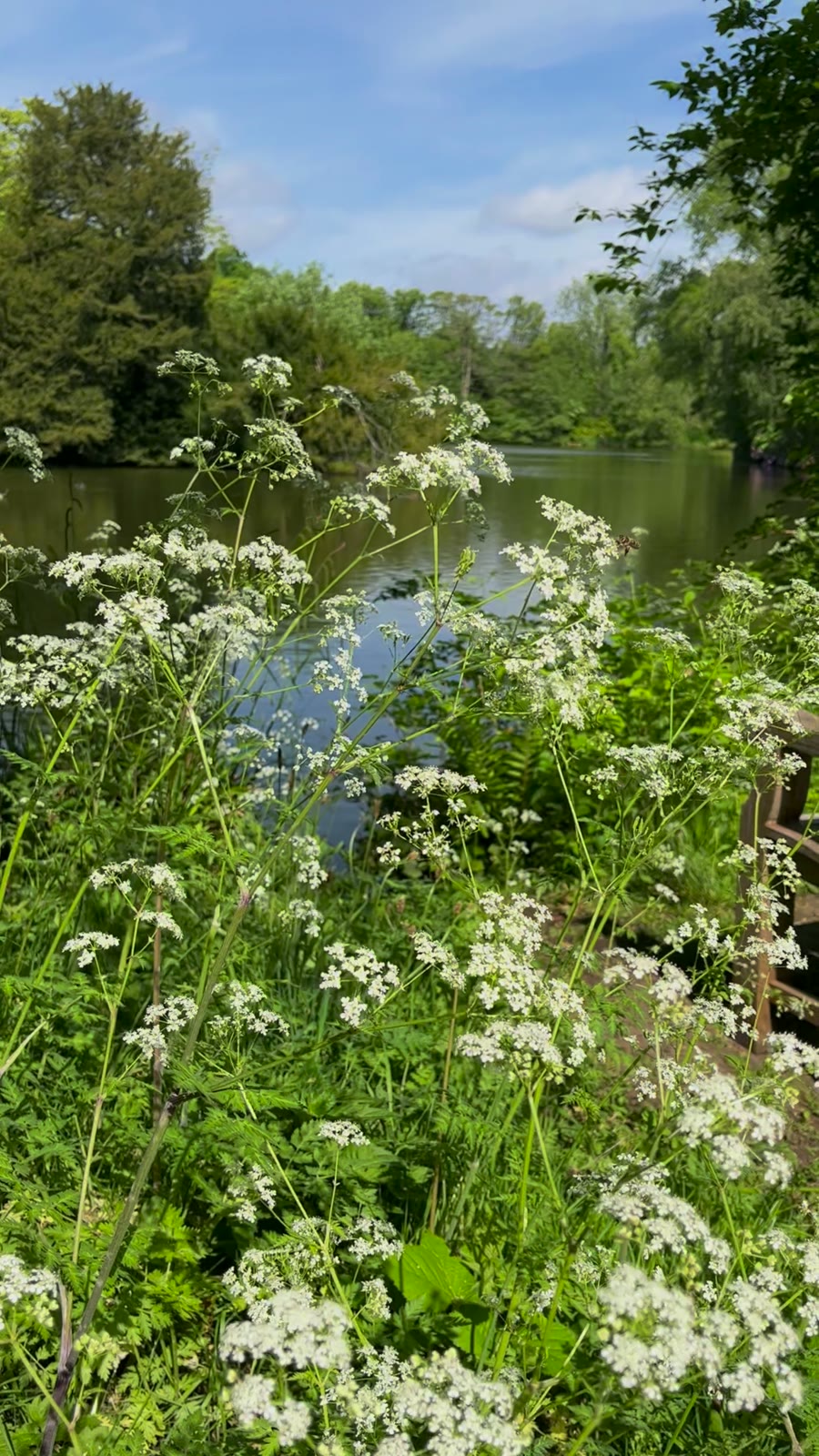 Spring